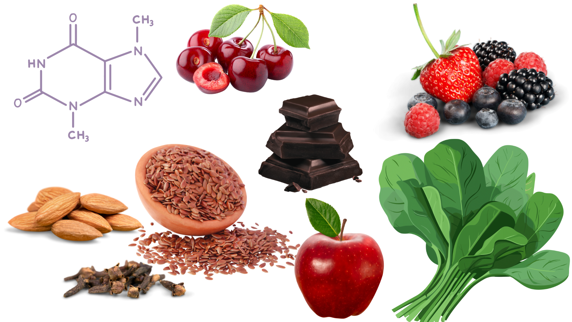 Clinical Potential of Polyphenols for ADHD